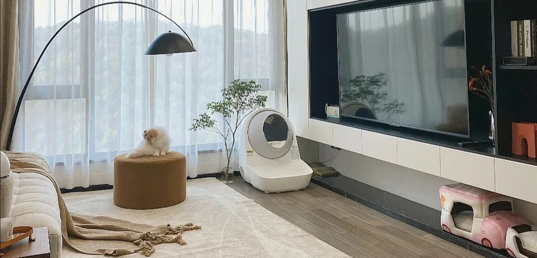 How Do I Stop My Cat from Peeing in the House?