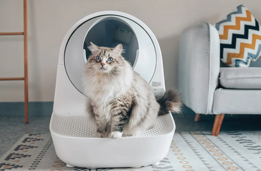 The Scoop on Self-Cleaning vs. Traditional Litter Boxes: Which is Best for Your Cat?