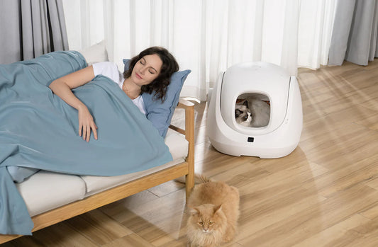 Debunking Myths About Self-Cleaning Litter Boxes: Separating Fact From Fiction