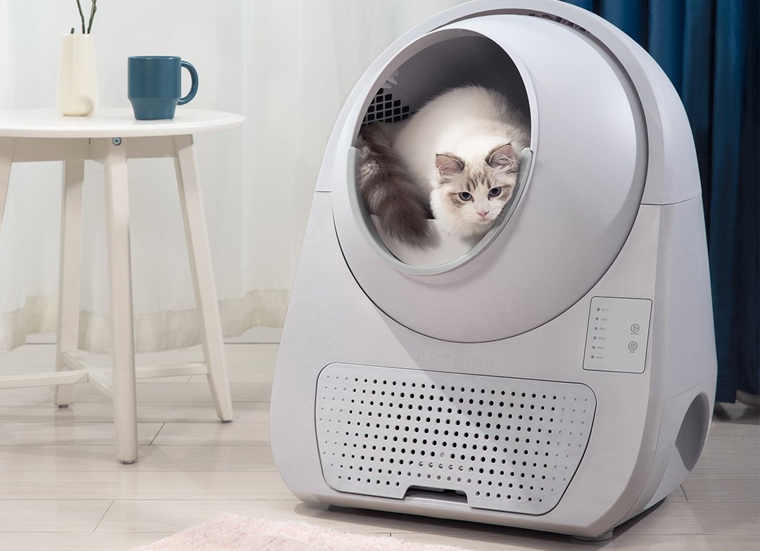 CATLINK SCOOPER Self-Clean Cat Litter Box – Young (Non Wifi) – Grey