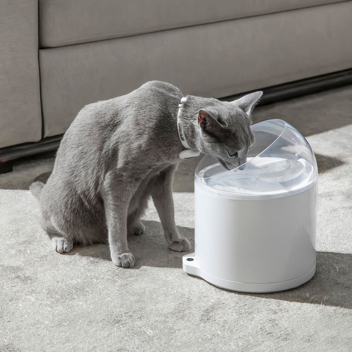 CATLINK Wireless Pump & Ultra-Filtration Water Fountain - PURE 2