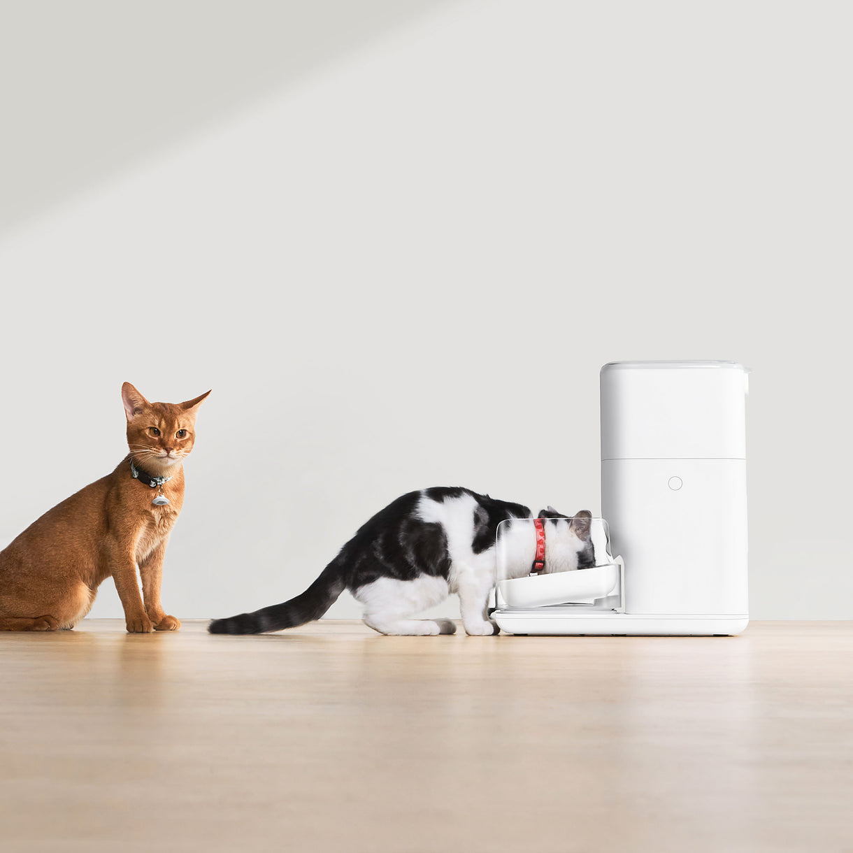 CATLINK Automatic Feeder Fresh 2 - Pro (Multi-Cat)