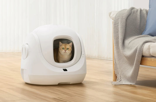 Smooth Transition: Tips for Introducing Your Cat to CATLINK's Self-Cleaning Litter Box